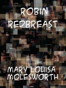 Robin Redbreast A Story for Girls