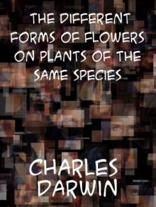 The Different Forms of Flowers on Plants of the Same Species