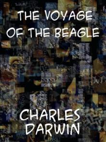 The Voyage of the Beagle