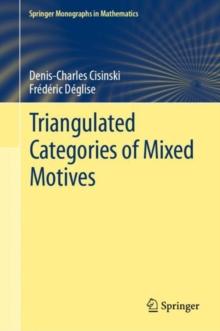 Triangulated Categories of Mixed Motives