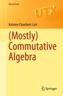 (Mostly) Commutative Algebra