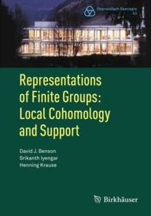 Representations of Finite Groups: Local Cohomology and Support