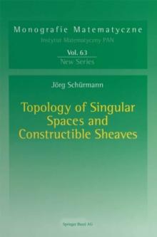 Topology of Singular Spaces and Constructible Sheaves