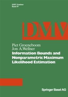 Information Bounds and Nonparametric Maximum Likelihood Estimation