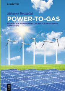 Power-to-Gas : Renewable Hydrogen Economy for the Energy Transition