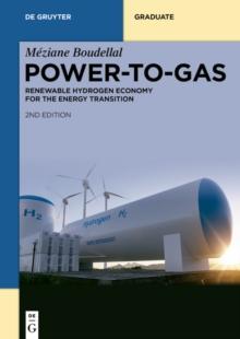 Power-to-Gas : Renewable Hydrogen Economy for the Energy Transition