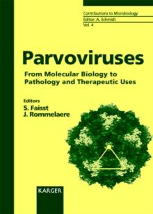 Parvoviruses : From Molecular Biology to Pathology and Therapeutic Uses.