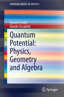 Quantum Potential: Physics, Geometry and Algebra