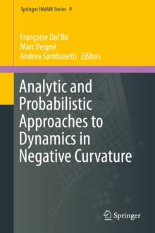 Analytic and Probabilistic Approaches to Dynamics in Negative Curvature