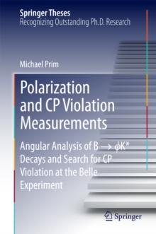 Polarization and CP Violation Measurements : Angular Analysis of B -> ?K* Decays and Search for CP Violation at the Belle Experiment