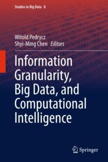 Information Granularity, Big Data, and Computational Intelligence