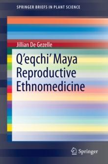 Q'eqchi' Maya Reproductive Ethnomedicine