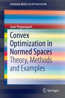 Convex Optimization in Normed Spaces : Theory, Methods and Examples