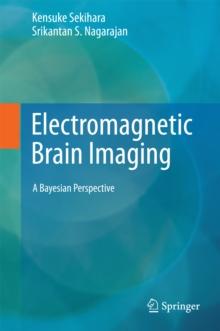 Electromagnetic Brain Imaging : A Bayesian Perspective