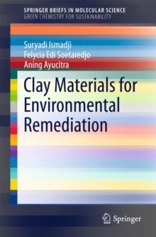 Clay Materials for Environmental Remediation