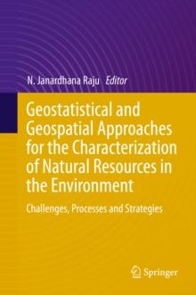 Geostatistical and Geospatial Approaches for the Characterization of Natural Resources in the Environment : Challenges, Processes and Strategies