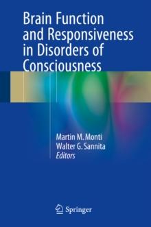 Brain Function and Responsiveness in Disorders of Consciousness