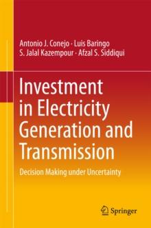 Investment in Electricity Generation and Transmission : Decision Making under Uncertainty