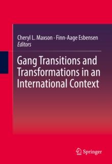 Gang Transitions and Transformations in an International Context