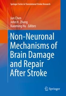 Non-Neuronal Mechanisms of Brain Damage and Repair After Stroke