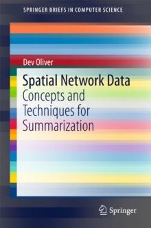 Spatial Network Data : Concepts and Techniques for Summarization