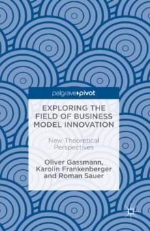 Exploring the Field of Business Model Innovation : New Theoretical Perspectives