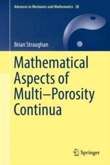 Mathematical Aspects of Multi-Porosity Continua