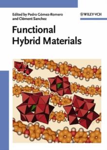 Functional Hybrid Materials