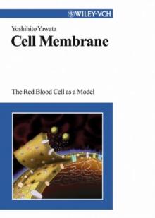 Cell Membrane : The Red Blood Cell as a Model