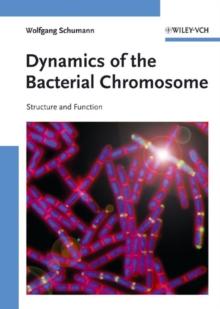 Dynamics of the Bacterial Chromosome : Structure and Function