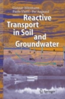 Reactive Transport in Soil and Groundwater : Processes and Models