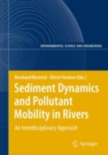 Sediment Dynamics and Pollutant Mobility in Rivers : An Interdisciplinary Approach