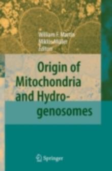 Origin of Mitochondria and Hydrogenosomes