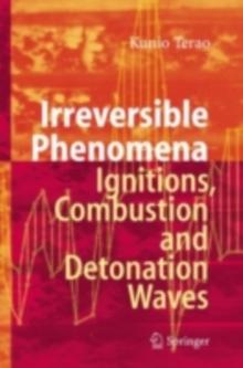 Irreversible Phenomena : Ignitions, Combustion and Detonation Waves