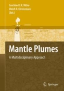 Mantle Plumes : A Multidisciplinary Approach