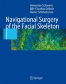 Navigational Surgery of the Facial Skeleton