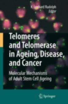 Telomeres and Telomerase in Aging, Disease, and Cancer : Molecular Mechanisms of Adult Stem Cell Ageing