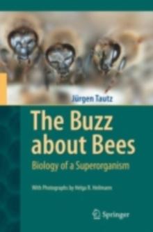 The Buzz about Bees : Biology of a Superorganism