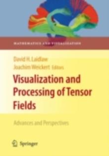 Visualization and Processing of Tensor Fields : Advances and Perspectives