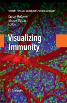 Visualizing Immunity