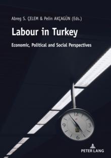 Labour in Turkey : Economic, Political and Social Perspectives