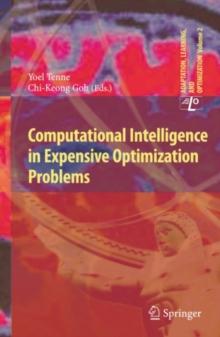 Computational Intelligence in Expensive Optimization Problems