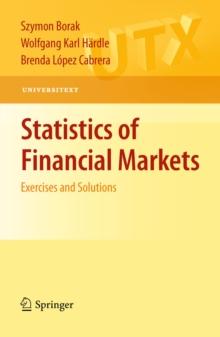 Statistics of Financial Markets : Exercises and Solutions