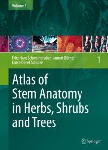 Atlas of Stem Anatomy in Herbs, Shrubs and Trees : Volume 1