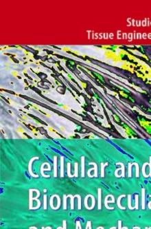 Cellular and Biomolecular Mechanics and Mechanobiology