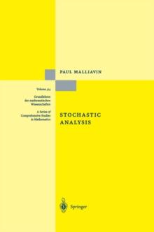 Stochastic Analysis