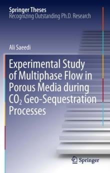 Experimental Study of Multiphase Flow in Porous Media during CO2 Geo-Sequestration Processes