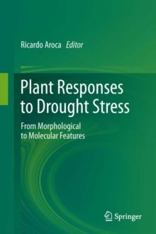 Plant Responses to Drought Stress : From Morphological to Molecular Features