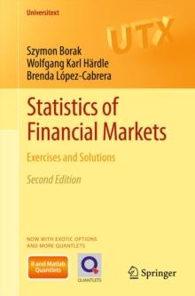 Statistics of Financial Markets : Exercises and Solutions