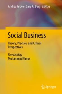 Social Business : Theory, Practice, and Critical Perspectives